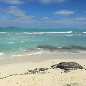 Meet your Posher, Mag